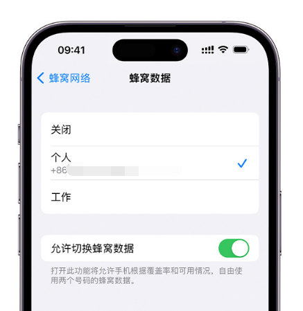 攀枝花苹果维修服务分享如何在iPhone上使用双卡 